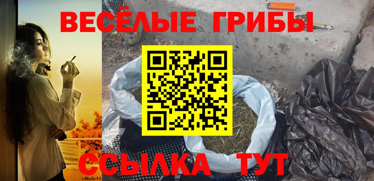 Донской  Псилоцибиновые грибы Psilocybine cubensis  Вход с VPN  Галлюциногенные грибы Psilocybe 