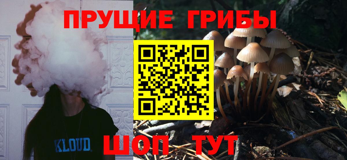 Псилоцибиновые грибы GOLDEN TEACHER Донской